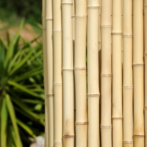 NETTRADE BOBAMBOO  Bambou et rotin articles sur 