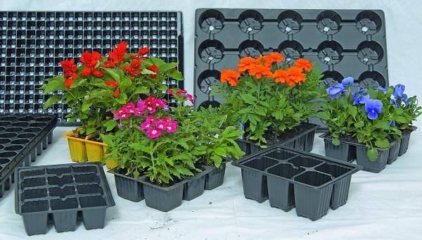 Nursery- Seedling Trays and Pots Dispo Plastik